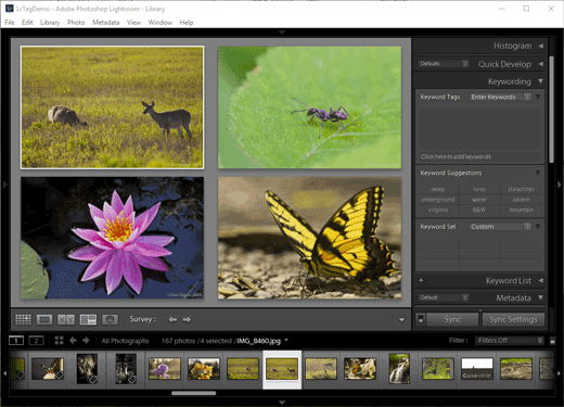 Screencapture of the plugin